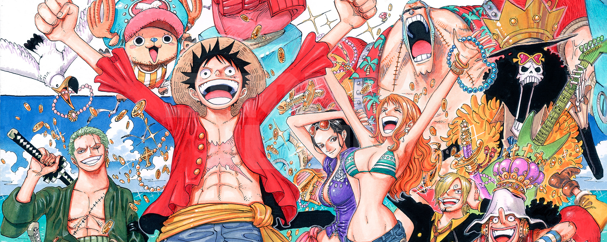 One Piece Banner